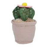 Pluchiez pluche plantjes 15 cm assorti