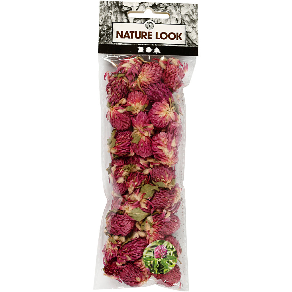 Creativ company gedroogde bloemen rode klaver paars, 15gr