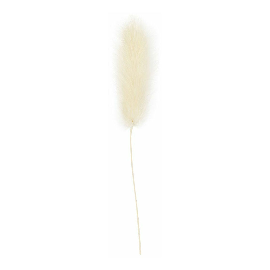 Creativ company hazenstaart gras, l: 3-7 cm, 6 stuk 1 doos