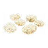 Creativ company gedroogde bloemen, d 3-5 cm, 6 stuk 1 doos