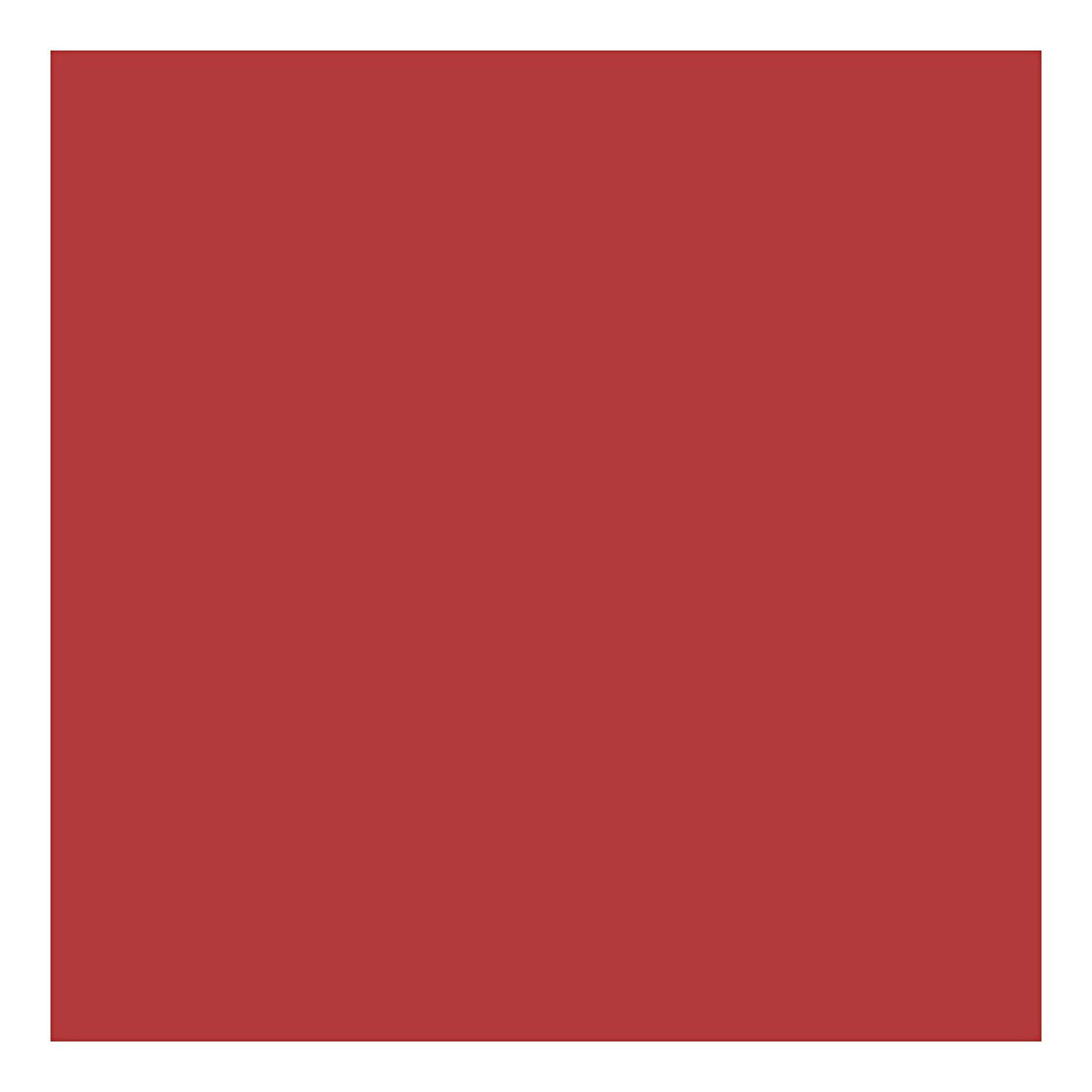 Creativ company karton, a4, vel 210x297 mm, 220 gr, rood, 10 stuk 1 doos