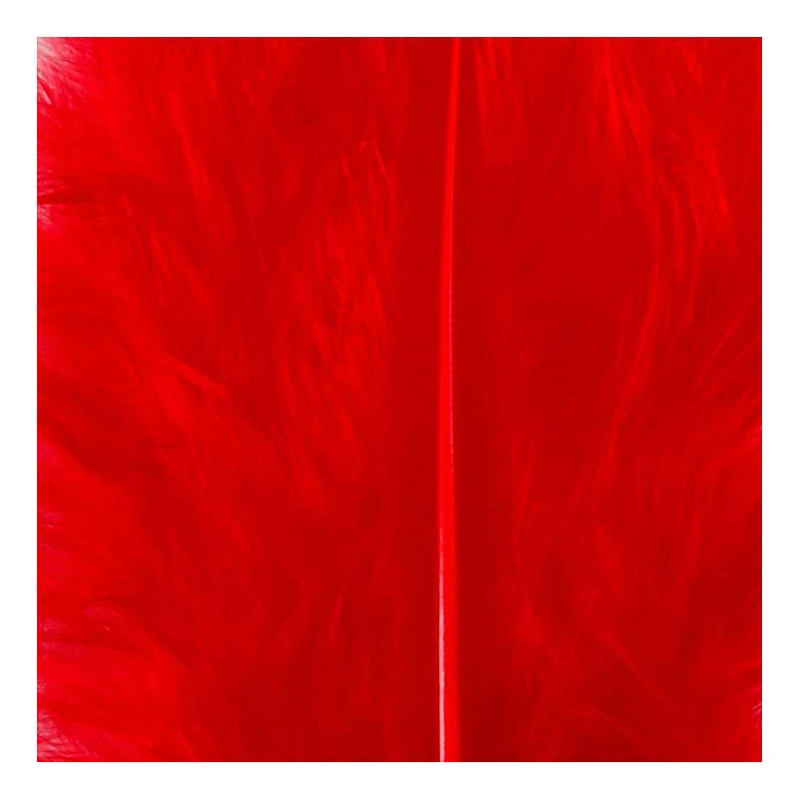 Creativ company dons, afm 5-12 cm, rood, 15 stuk 1 doos