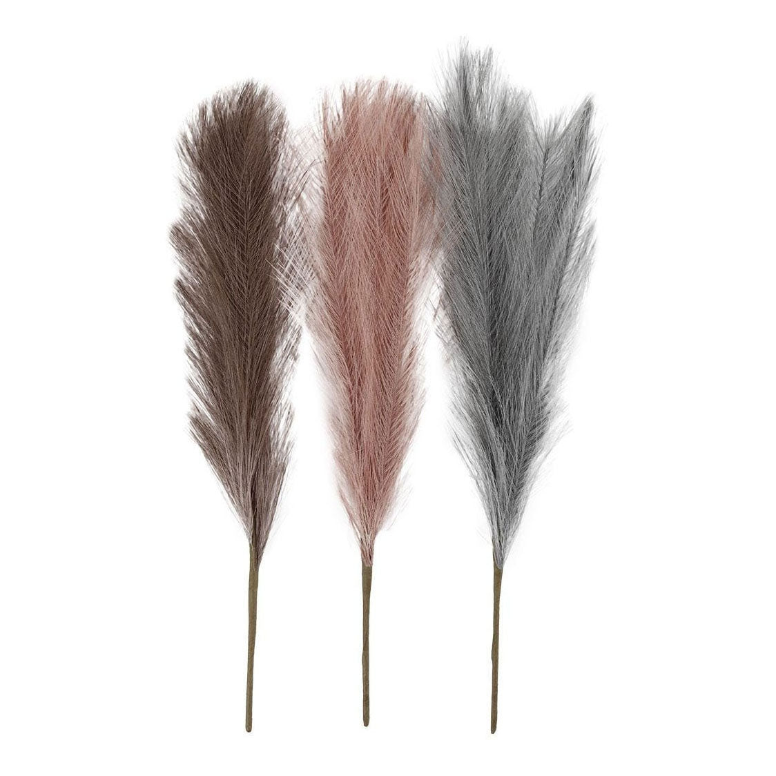 Creativ company pampasgras blauw lila roze, 3st.