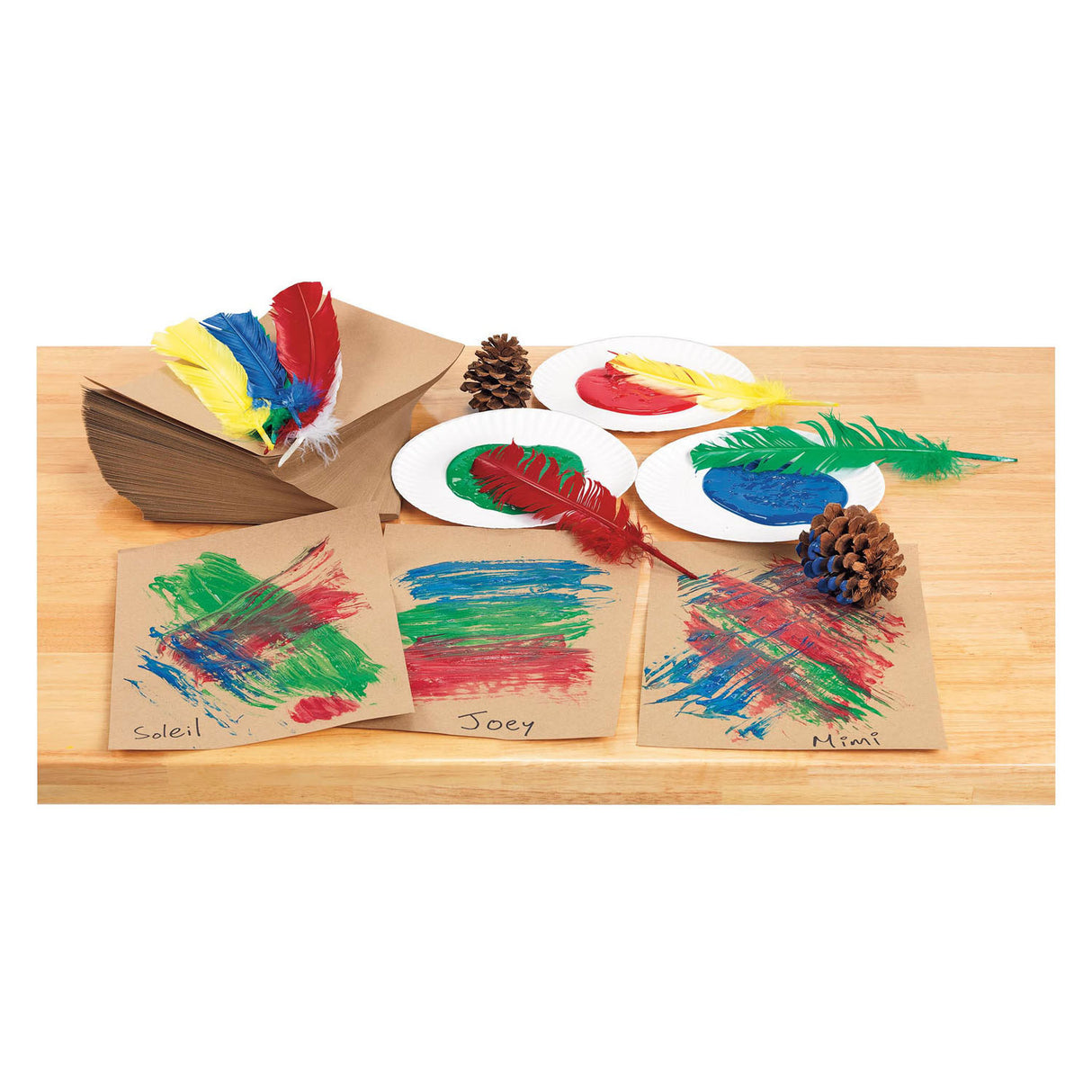 Colorations - veren 30cm, set van 24