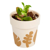 Colorations - botanisch knutselstickers, 400st.