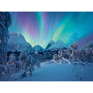 Ravensburger puzzel wenn die nordlichter tanzen 1500 stukjes