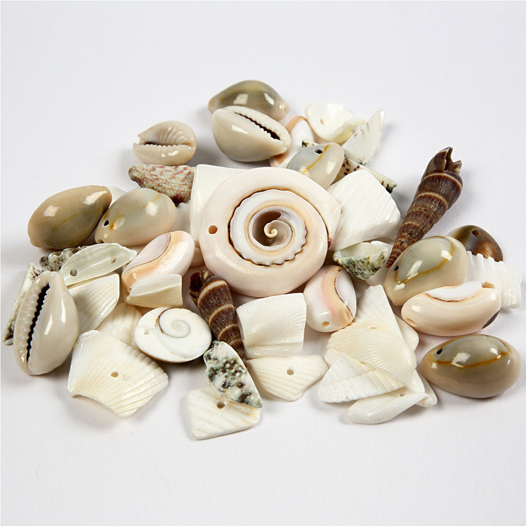 Creativ company strand schelpen kralen, afm 9-40 mm, gatgrootte 1-1,5 mm, 120 gr 1 doos