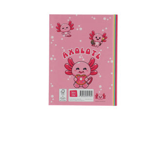 Boek vriendenboek axolotl