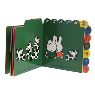 Boek tel je mee met nijntje?