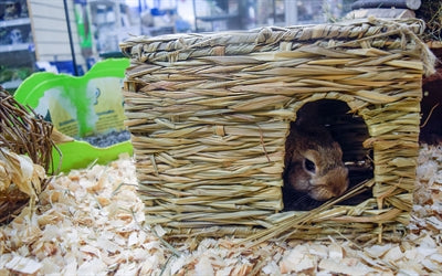 Nature first happy pet grassy hideaway verstopplek