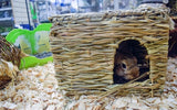 Nature first happy pet grassy hideaway verstopplek