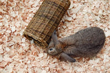 Nature first happy pet wilgen tunnel