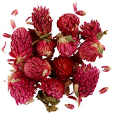 Creativ company gedroogde bloemen, rode klaver, l: 1,5-2,5 cm, d 1 - 1,5 cm, ca. 15 gr, 15 gr, paars, 1 doos