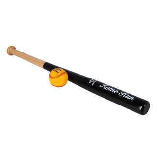 Honkbalknuppel met honkbal