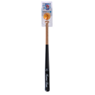 Honkbalknuppel met honkbal