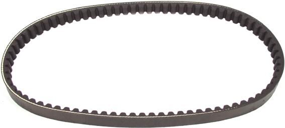Polini v-snaar versterkt verstärkt v-belts verst. 18.5x802 mm