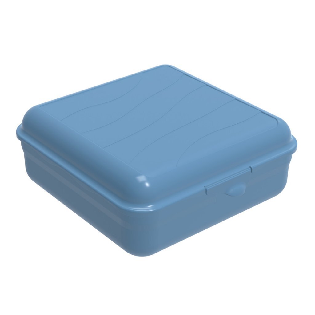 Rotho fun lunchbox vierkant 2,35l horizon blauw