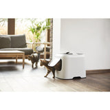 Rotho biala kattenbak wit