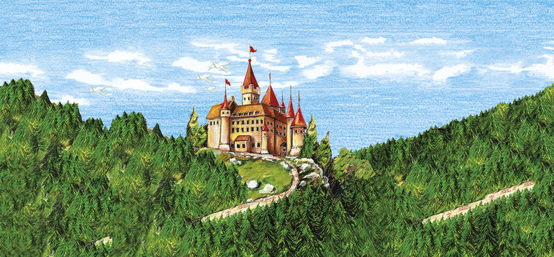 Faber castell fc-120148 kleurpotlood faber-castell castle zeskantig karton etui met 48 stuks