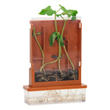 Experimenten - planten doolhof, 21dlg.