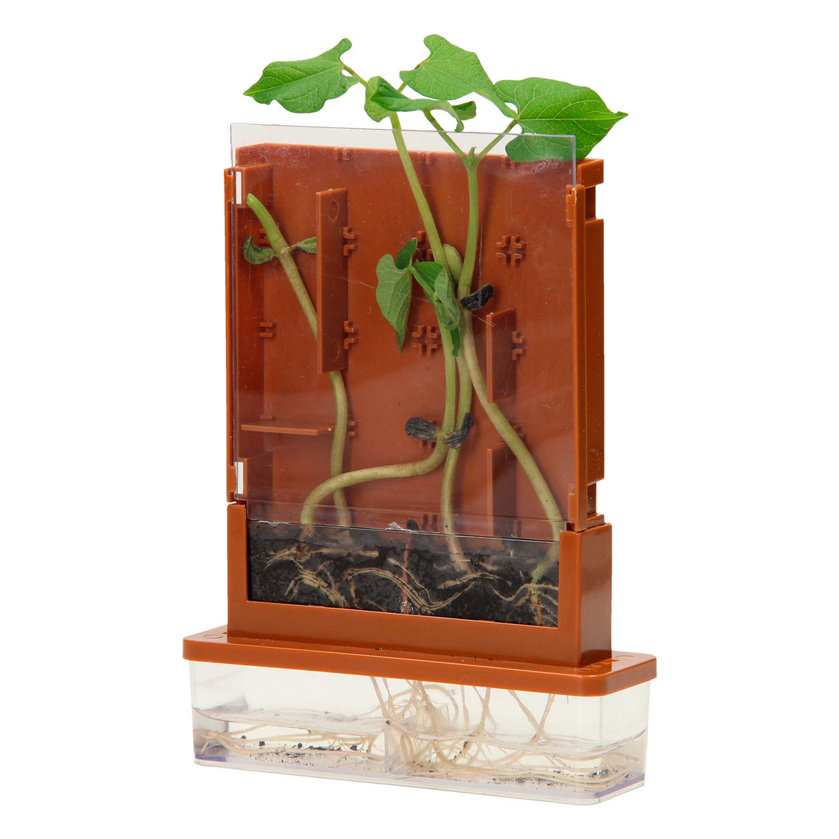 Experimenten - planten doolhof, 21dlg.