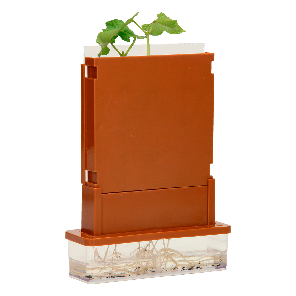 Experimenten - planten doolhof, 21dlg.