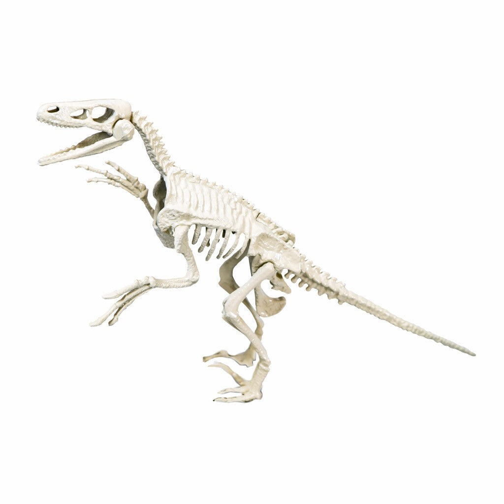 Clementoni Wetenschap Spel Archeospel Velociraptor