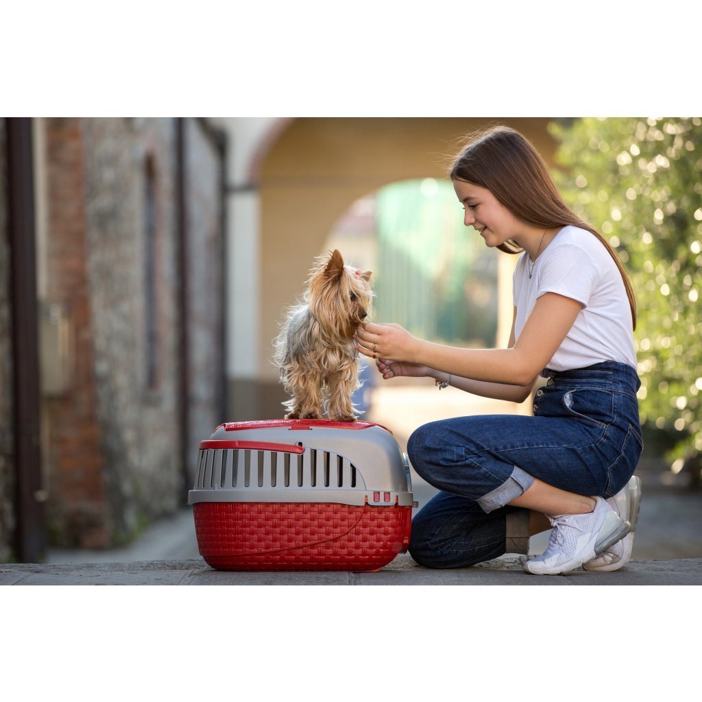 Bama pet transportbox 59x38x37 cm rood zilver