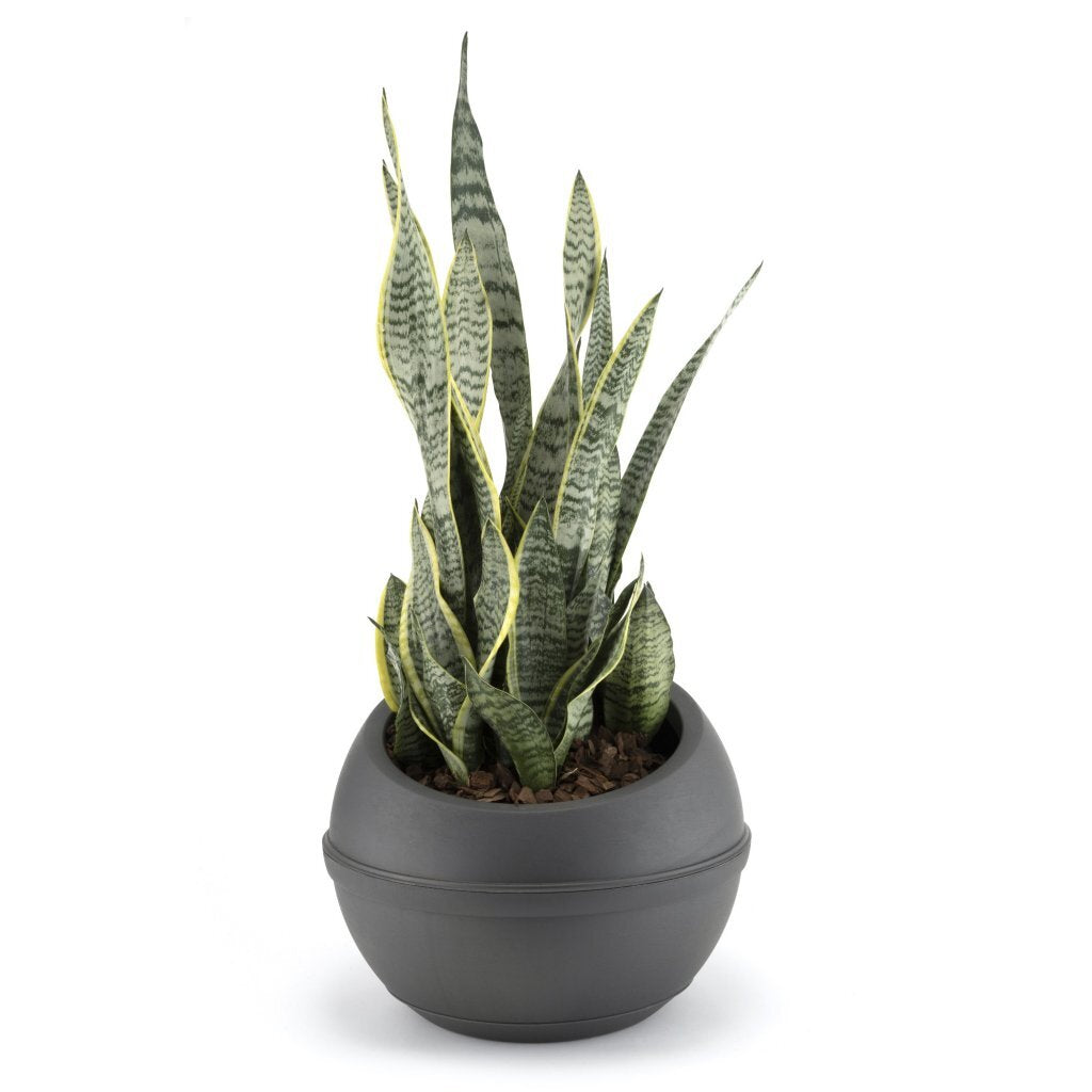 Bama sfera bloempot 23l 40.5x32 cm antraciet