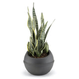 Bama sfera bloempot 23l 40.5x32 cm antraciet