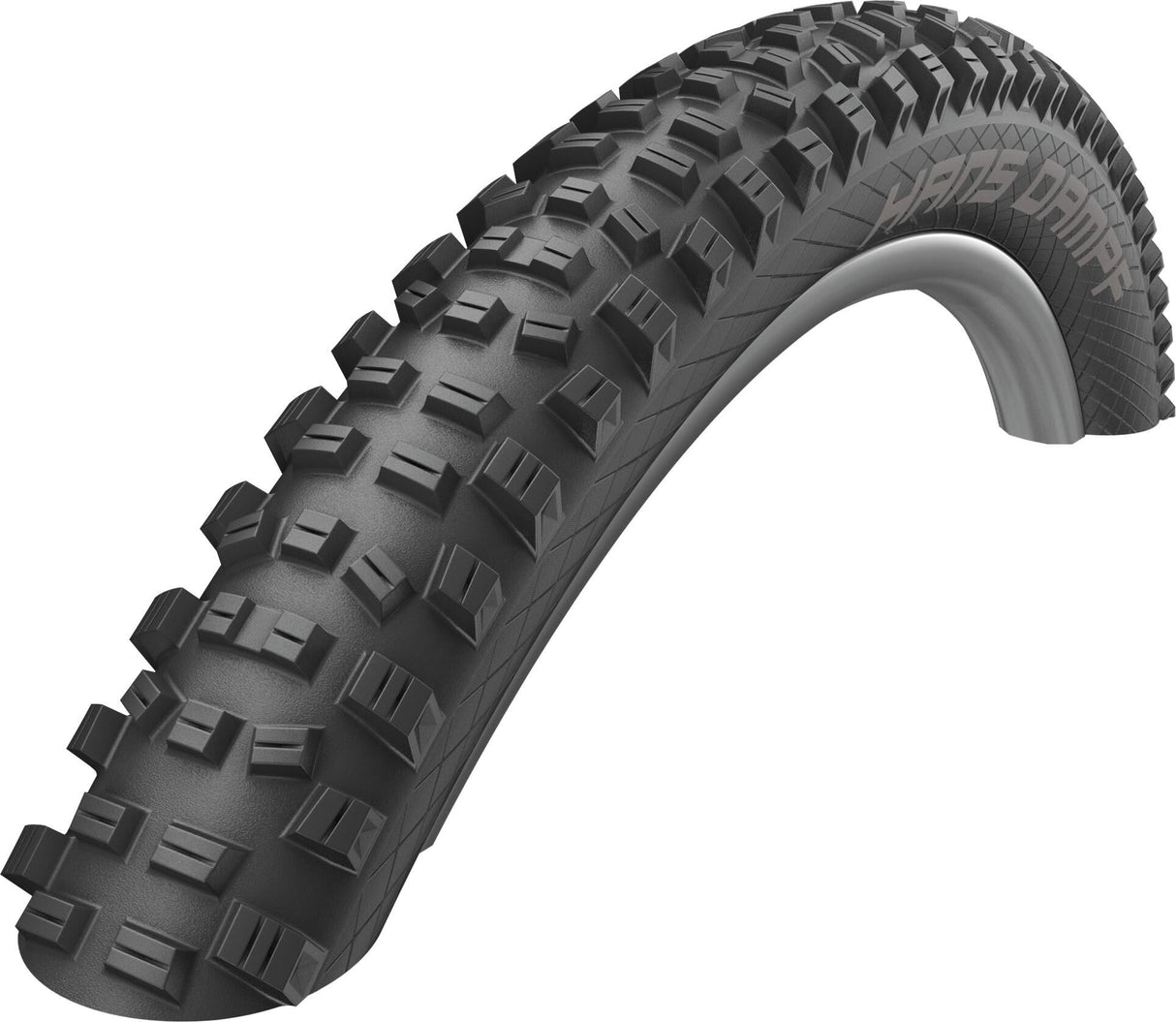 SCHWALBE tire "Hans Dampf" Performance LineHS491, 67 EPI, foldable, Tubeless Ready, black