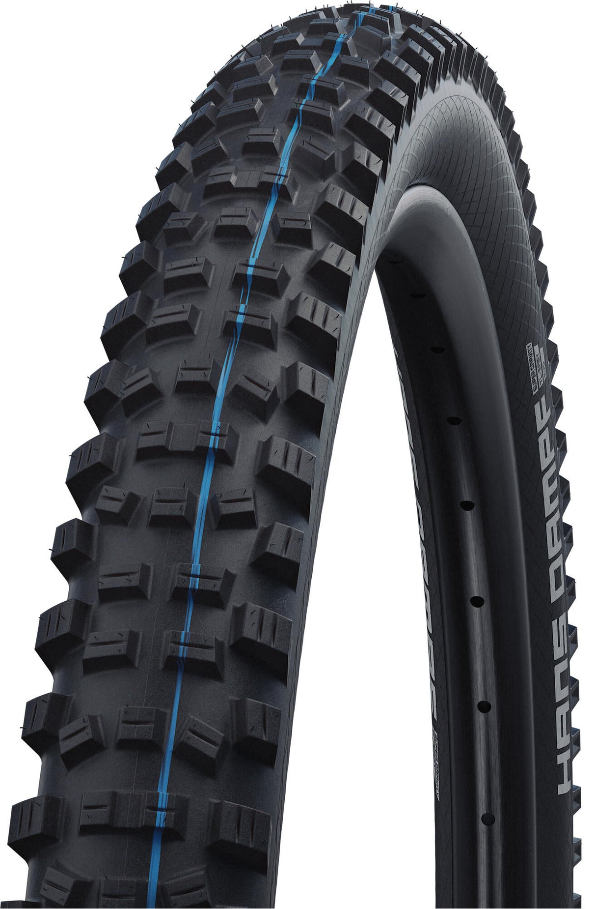 Schwalbe buitenband hans dampf evolution line tire hans dampf evol.line 70-584