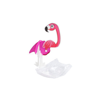 Groei ei vogel paradijs 8,5 cm 6 asst