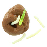Amazing cool squishy drol met maden