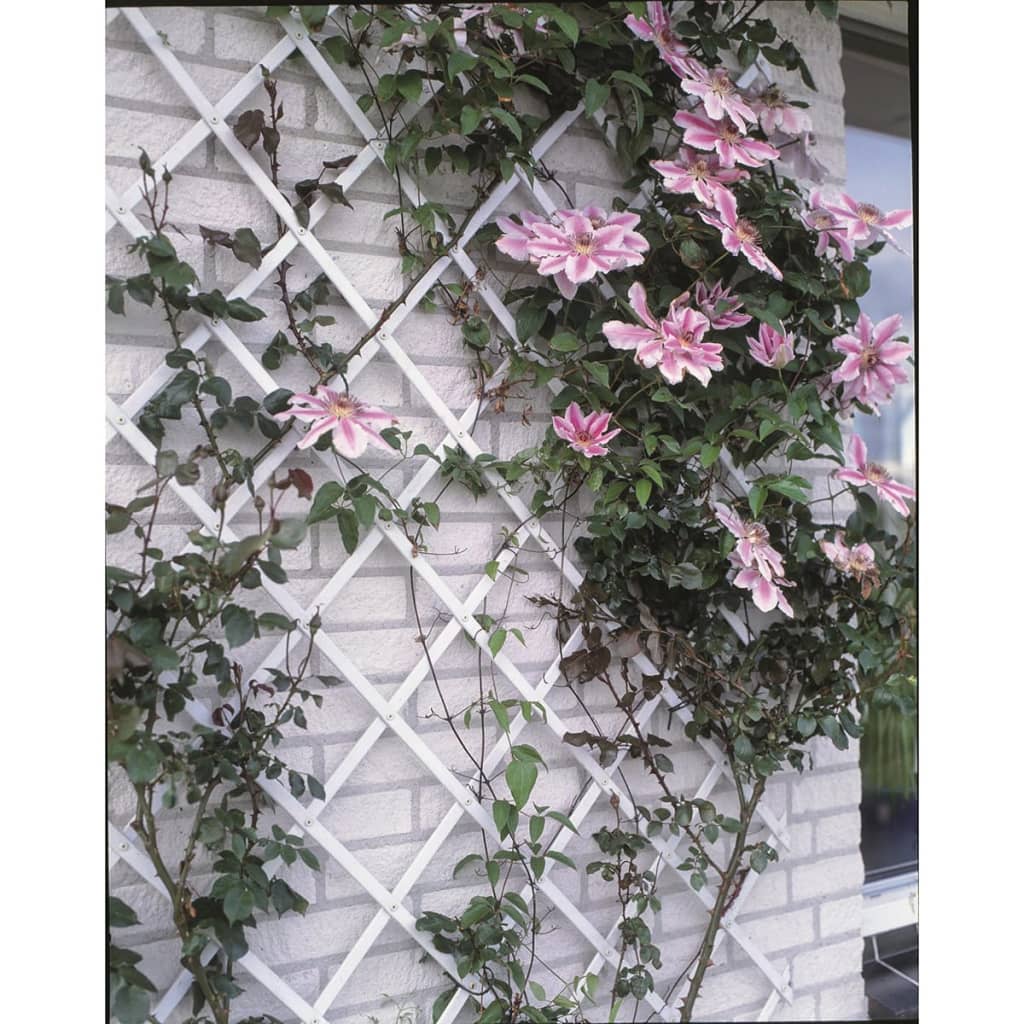 Nature tuinlatwerk 50x150 cm pvc wit 6040701