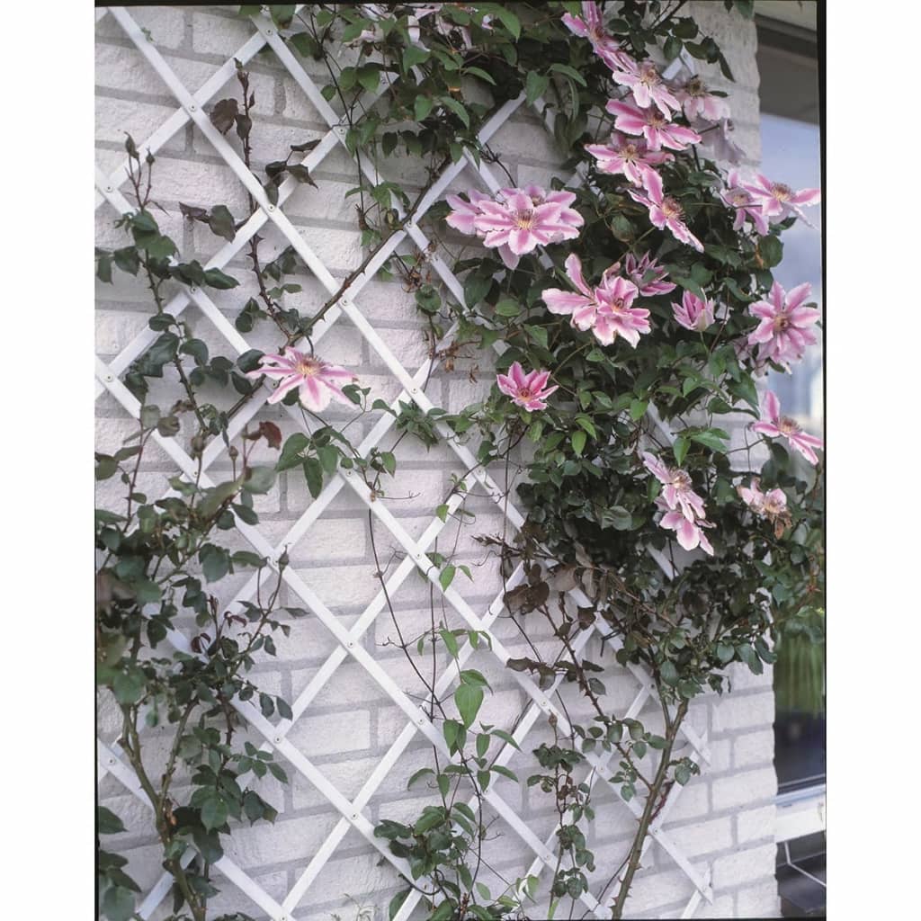 Nature tuinlatwerk 100x200 cm pvc wit 6040703