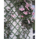 Nature plantenklimrek 100x200 cm pvc groen 6040704