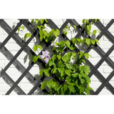 Nature tuinlatwerk 50x150 cm hout antracietkleurig