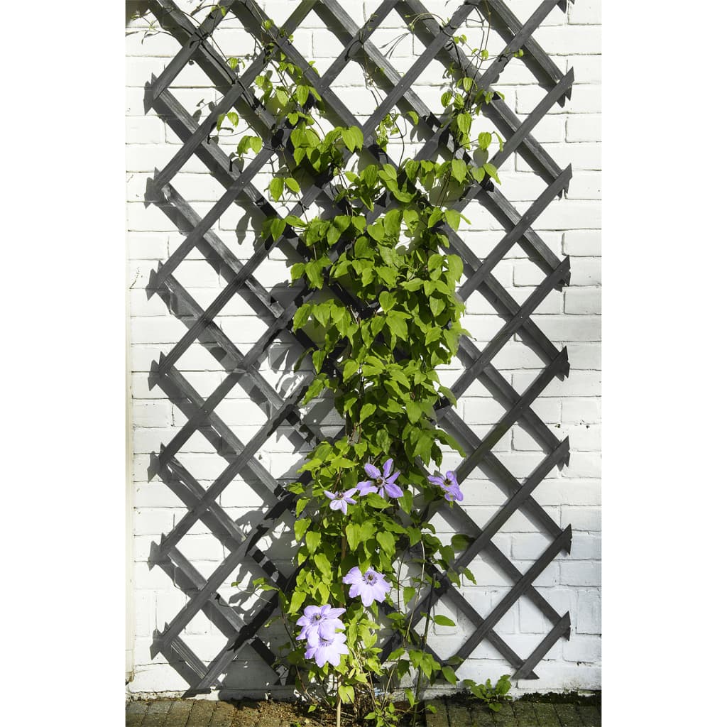 Nature tuinlatwerk 50x150 cm hout antracietkleurig