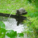 Ubbink spuitfiguur schildpad