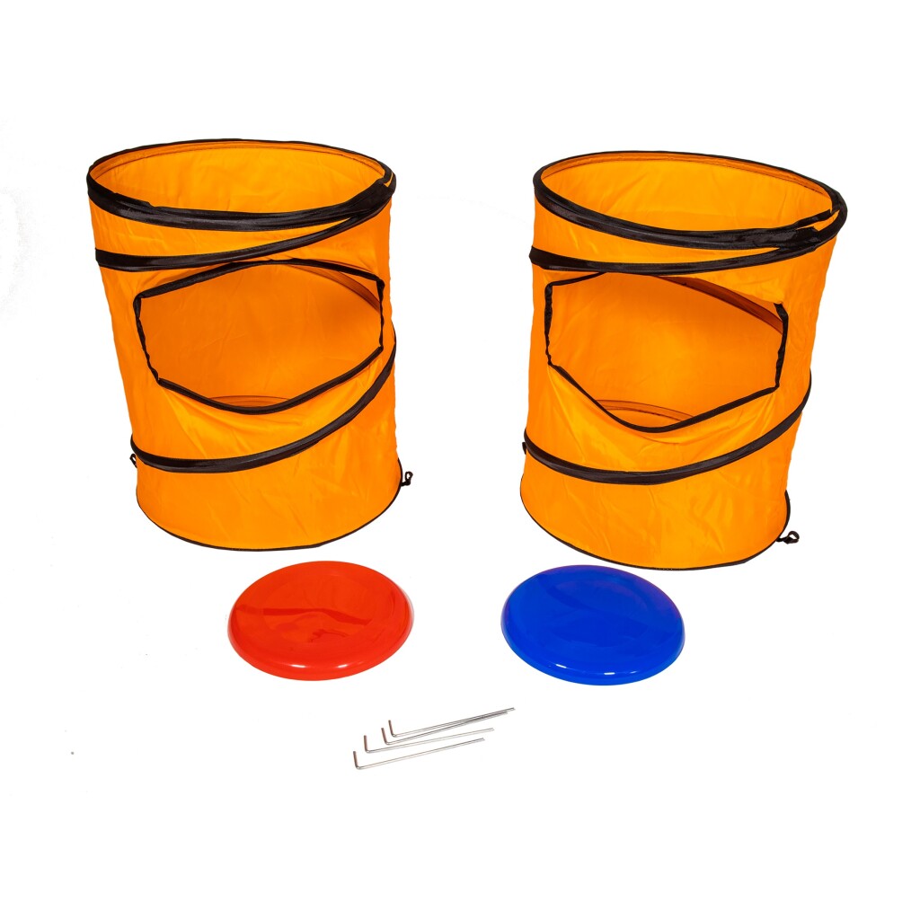 Summertime frisbee game set