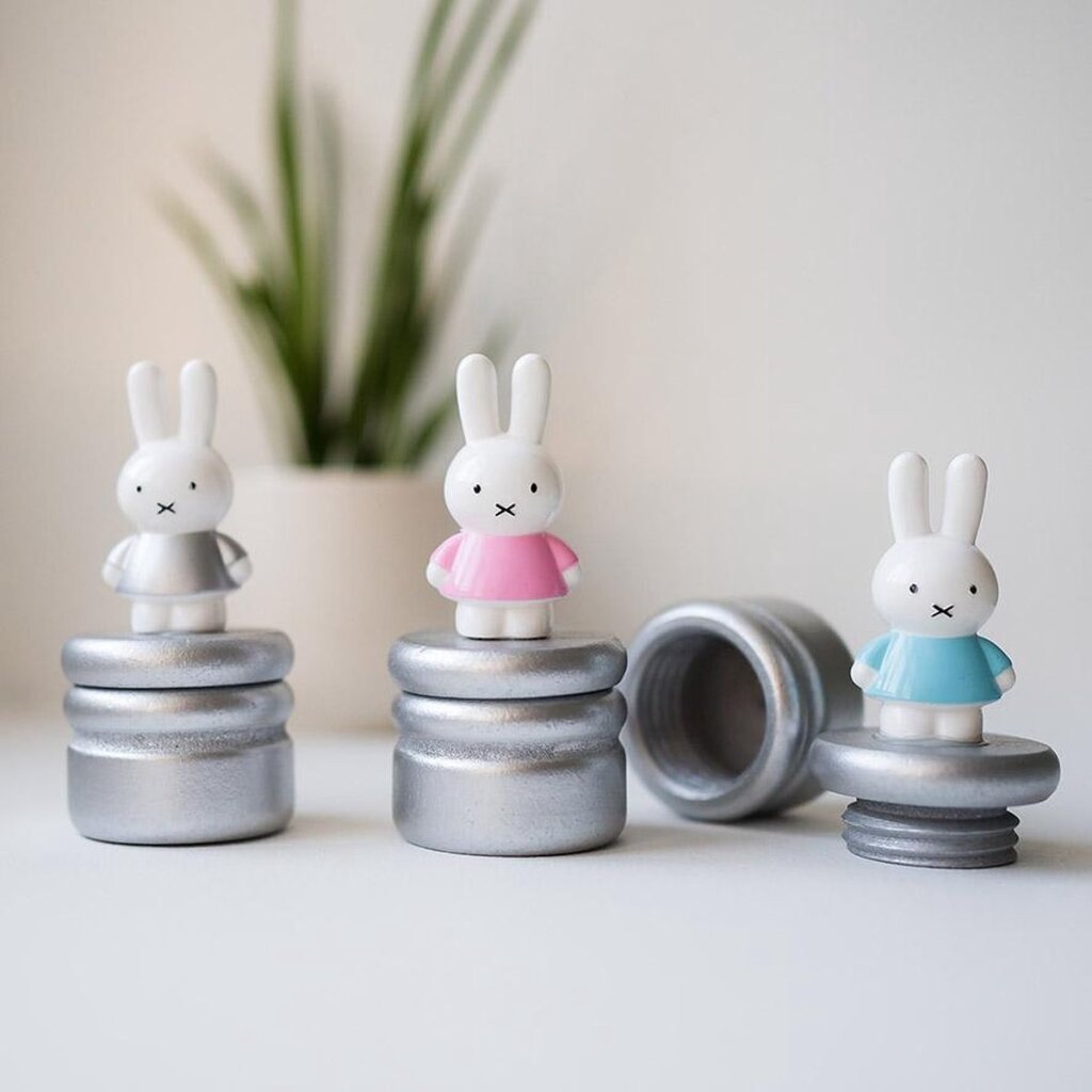 Bambolino toys nijntje melktandendoosje zilver