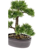 Emerald kunstplant ceder bonsai groen 32 cm 420001