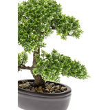 Emerald kunstplant mini bonsai ficus groen 32 cm 420002