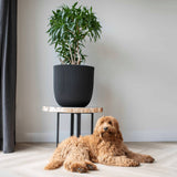 Capi plantenbak groove 35x34 cm zwart