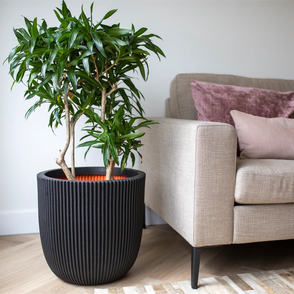 Capi plantenbak groove 35x34 cm zwart