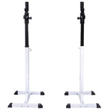 VidaXL Halster- squatrek met halterset 60,5 kg