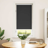 Vidaxl rolgordijn verduisterend 60 x 120 cm zwart