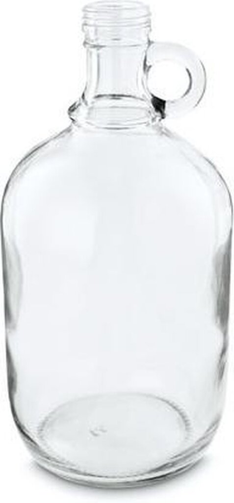 Diverse vaas vtwonen fles 26,5 cm