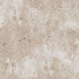 Noordwand behang betonbeige